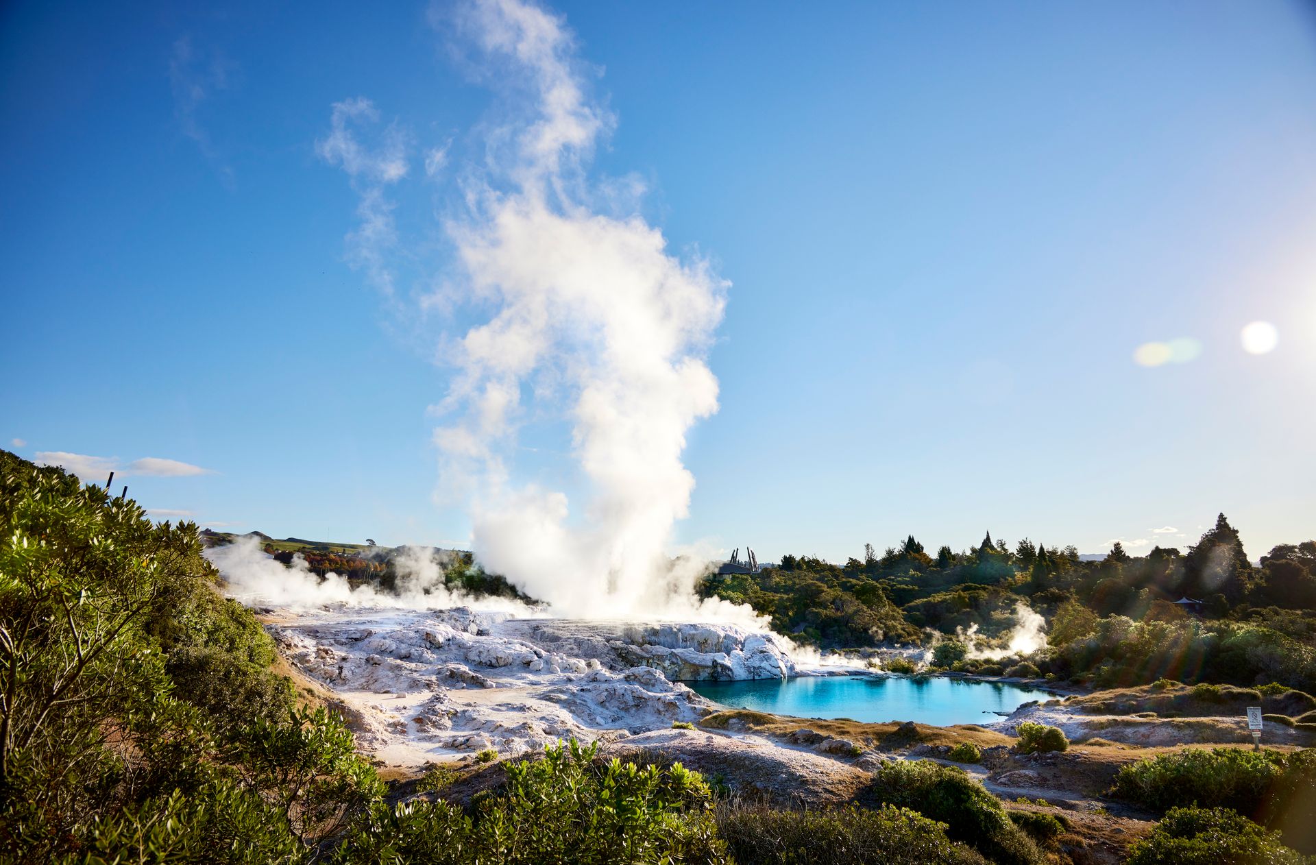 651429-whakarewarewa-maori-village-pohutu-geyser-web-1920px.jpg